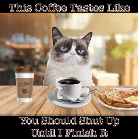 big cat coffee memes|30 Sweet Cat Memes to Sip With Your Morning Coffee